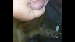 Smallish dick